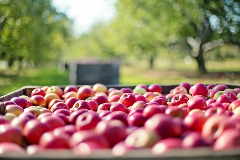 Urban orchards