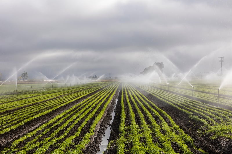 Smart Irrigation Controller